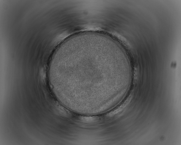 X0000102041257200808081827