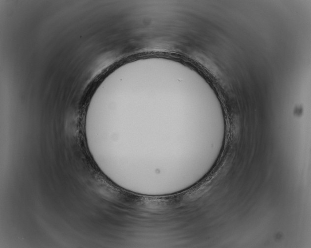 X0000102041258200808081827