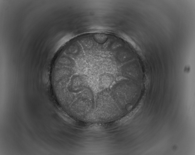 X0000102041259200808081827