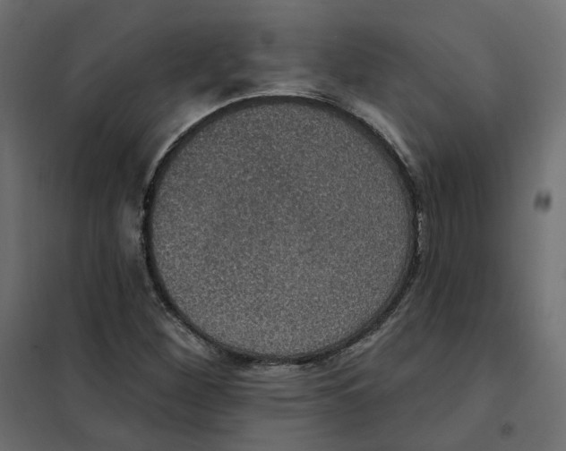 X0000102041260200808081827