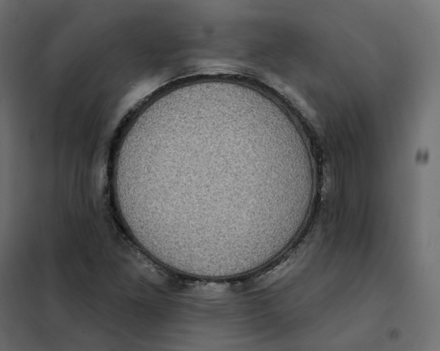 X0000102041261200808081827