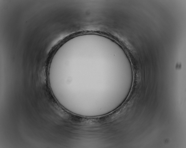 X0000102041262200808081827