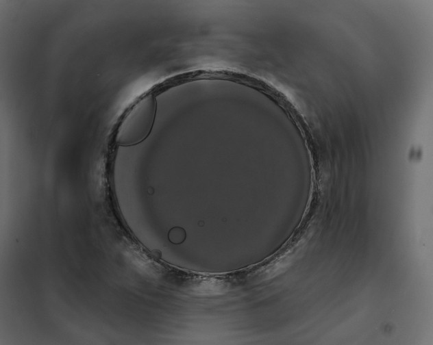 X0000102041263200808081827