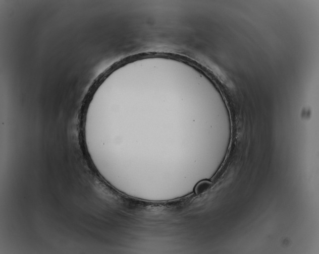 X0000102041264200808081827