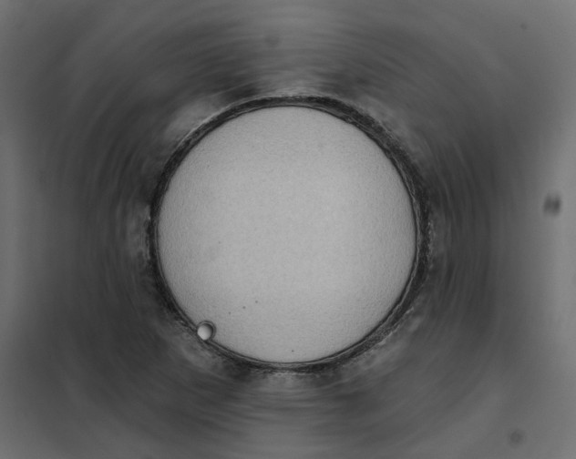 X0000102041265200808081827