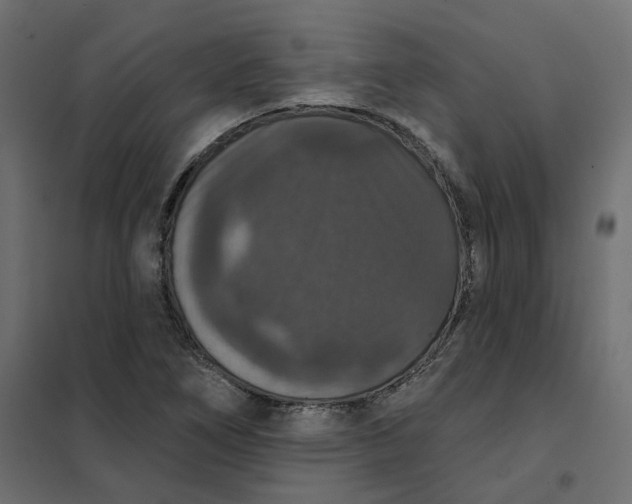 X0000102041266200808081827