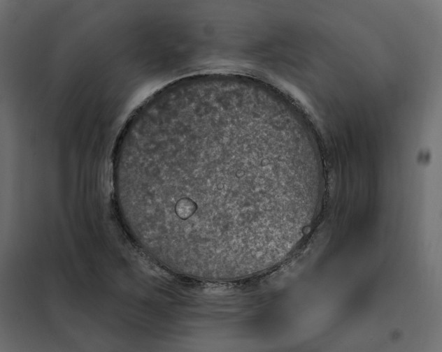 X0000102041267200808081827