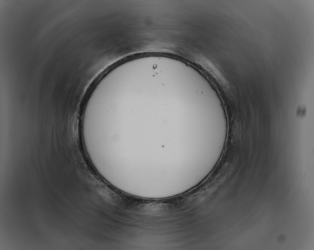 X0000102041268200808081827