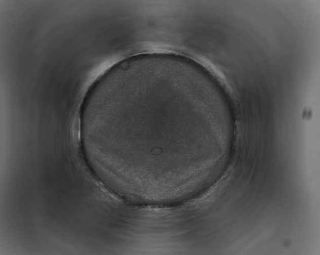 X0000102041269200808081827