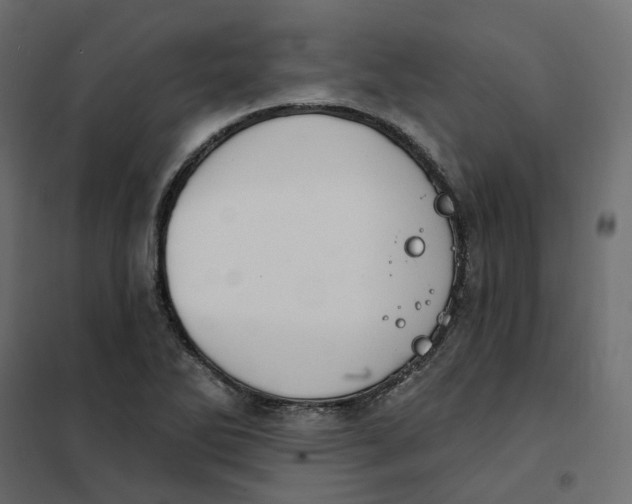 X0000102041270200808081827