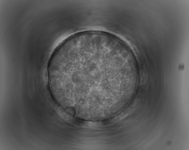 X0000102041271200808081827