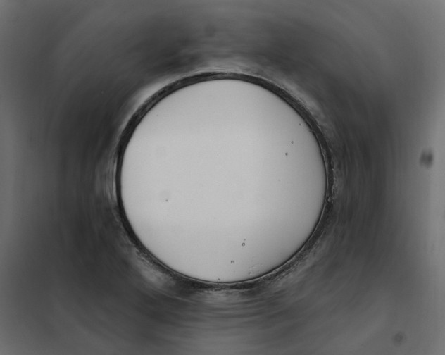 X0000102041272200808081827