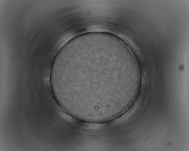 X0000102041273200808081827