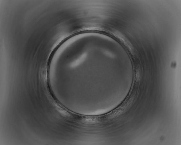 X0000102041274200808081826