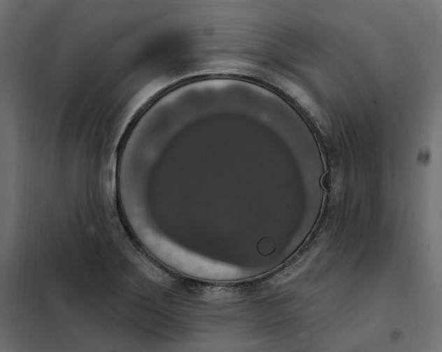 X0000102041275200808081826