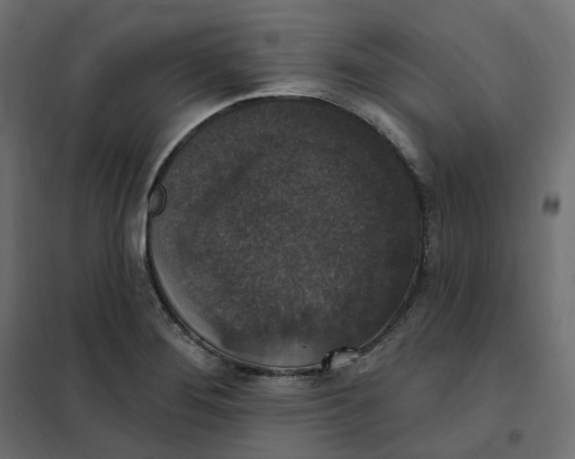 X0000102041276200808081826