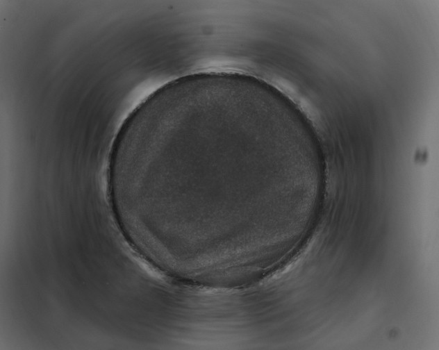 X0000102041277200808081826