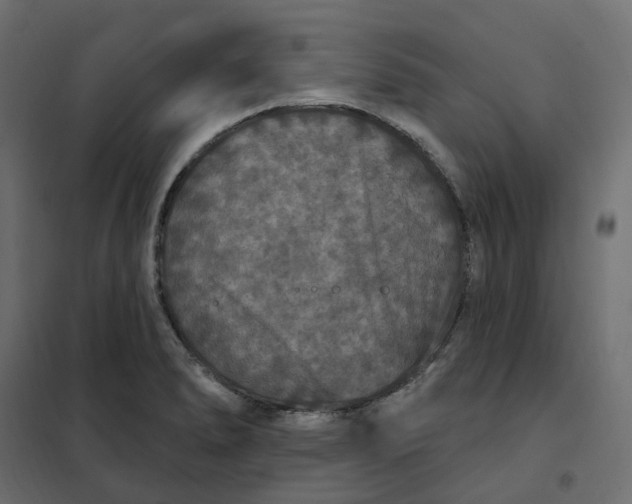 X0000102041278200808081826