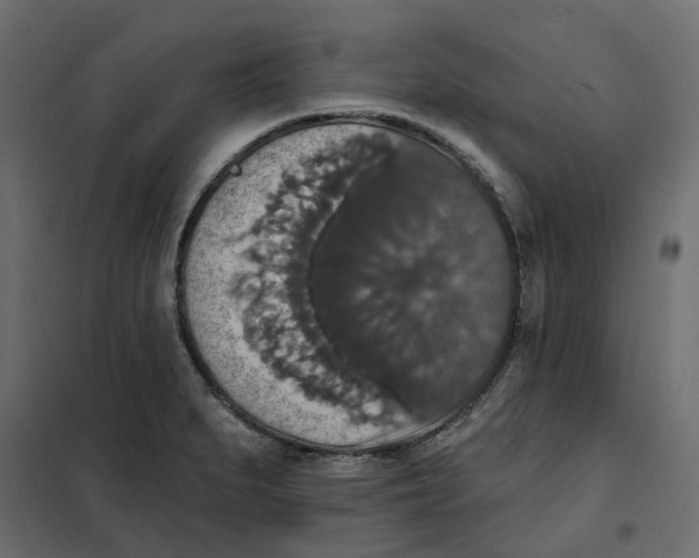 X0000102041279200808081826