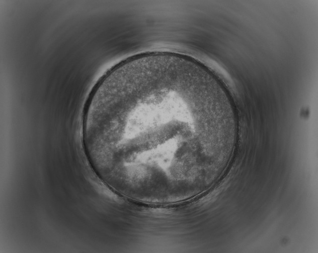 X0000102041280200808081826