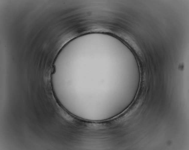 X0000102041281200808081826