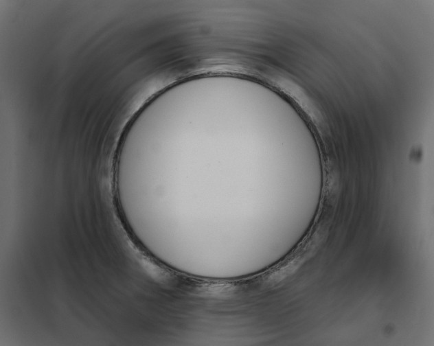 X0000102041282200808081826