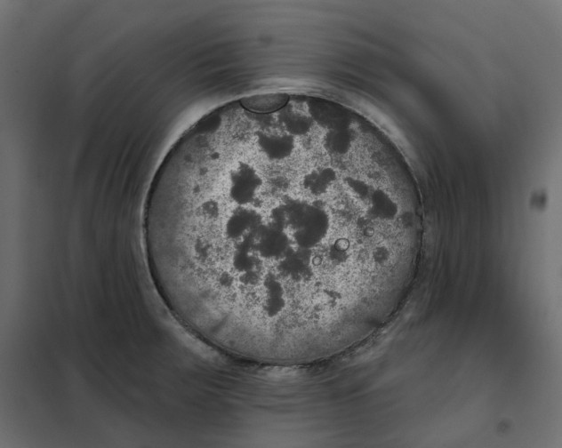 X0000102041283200808081826