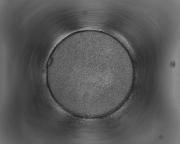 X0000102041284200808081826