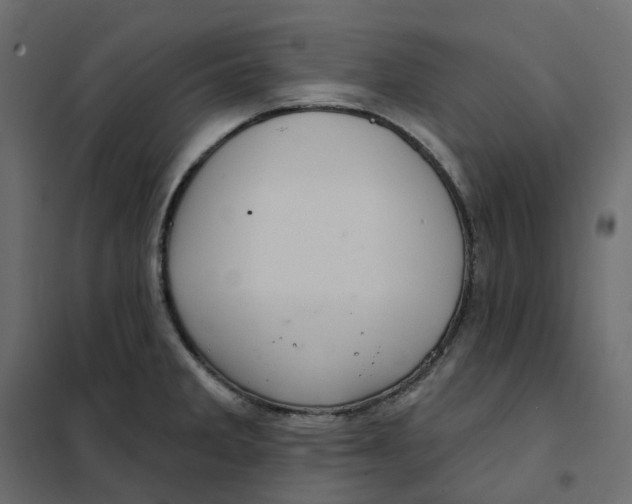 X0000102041285200808081826