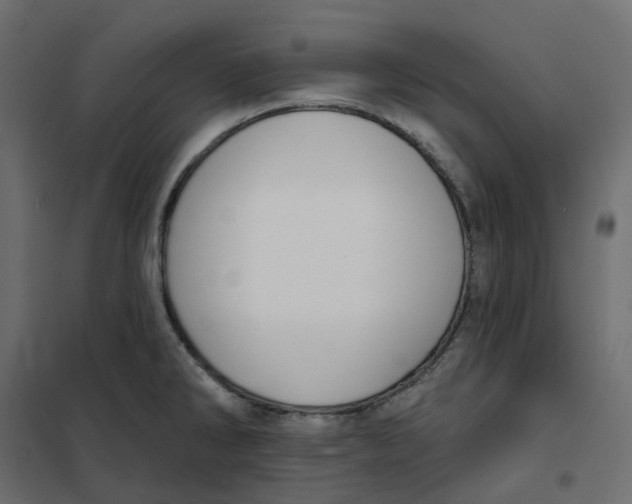 X0000102041286200808081826