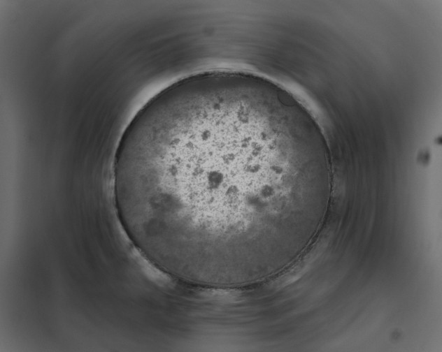 X0000102041287200808081826