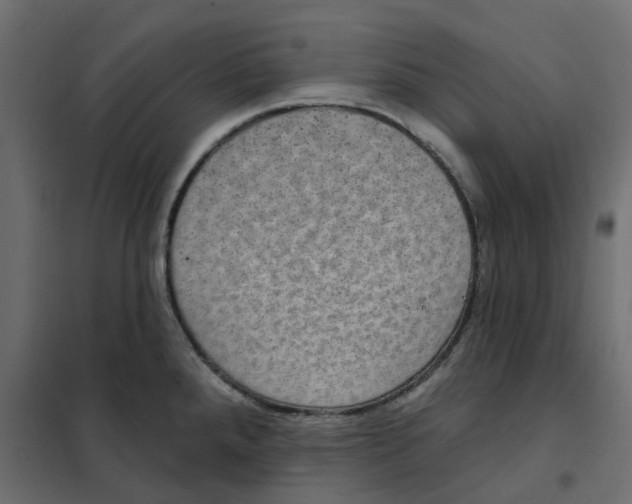 X0000102041288200808081826