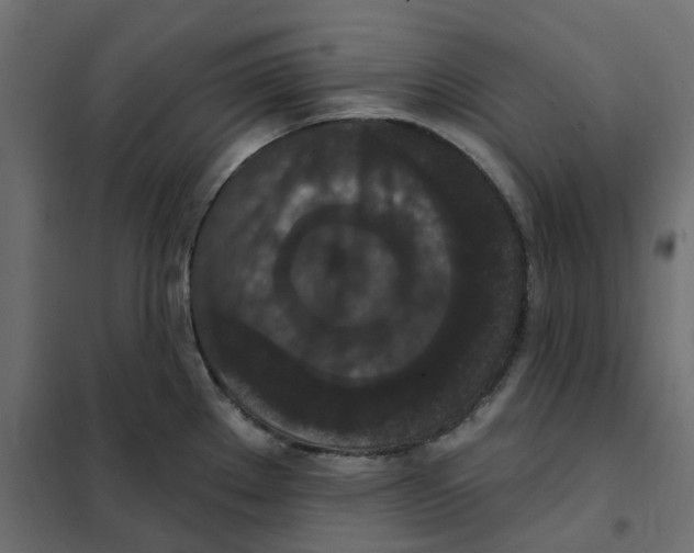 X0000102041289200808081826