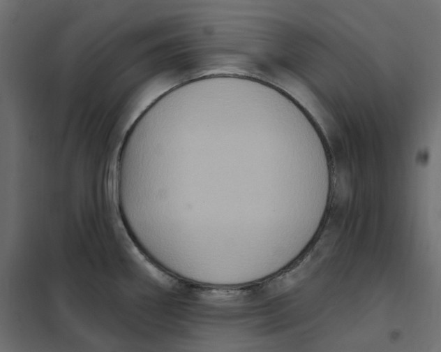 X0000102041290200808081826