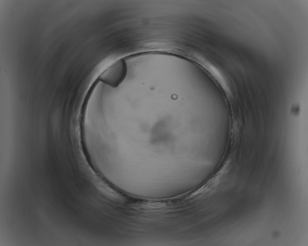 X0000102041291200808081826