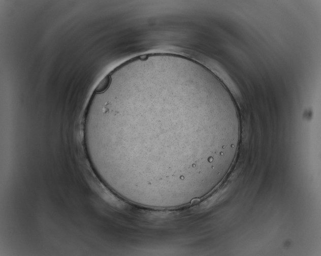 X0000102041292200808081826