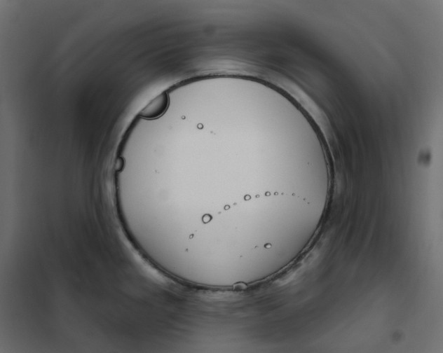 X0000102041293200808081826