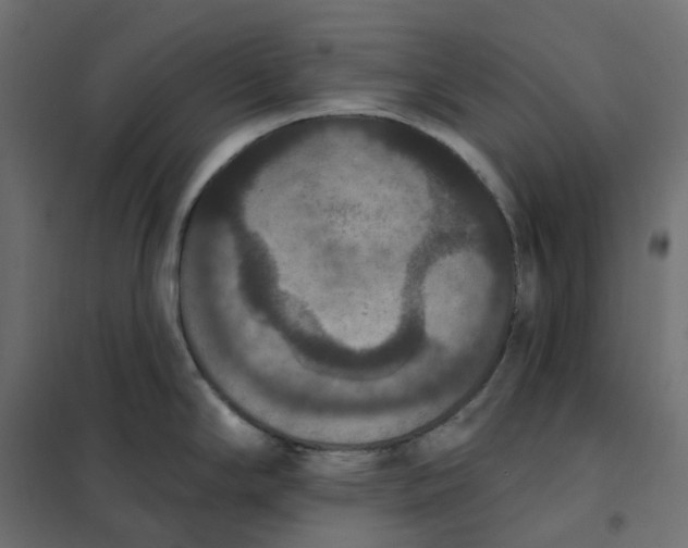 X0000102041294200808081826