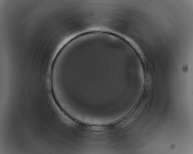 X0000102041295200808081826