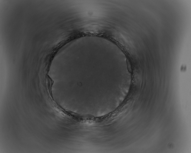 X0000102041297200808081826