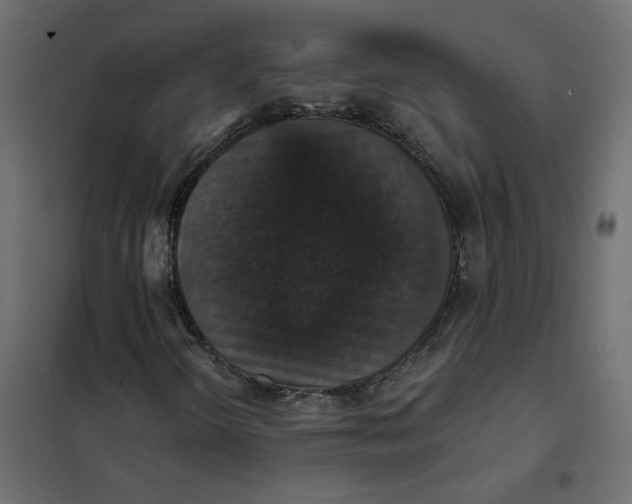 X0000102041298200808081826