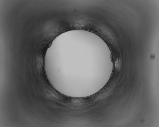 X0000102041299200808081826