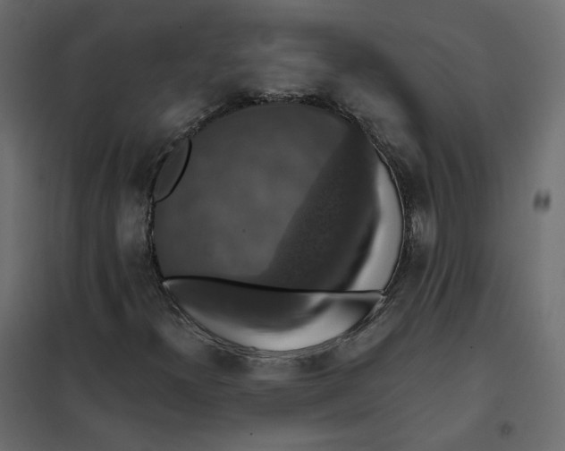 X0000102041300200808081826