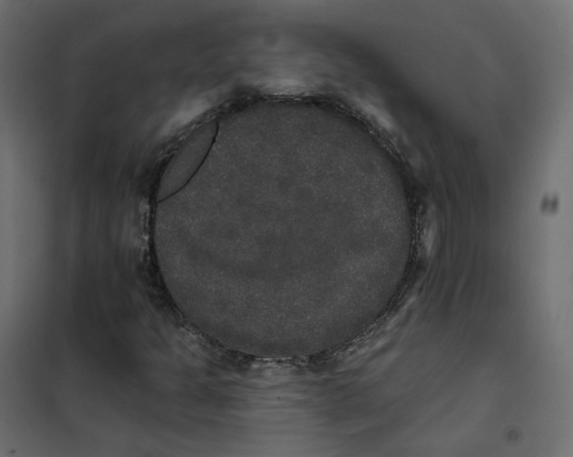 X0000102041301200808081826