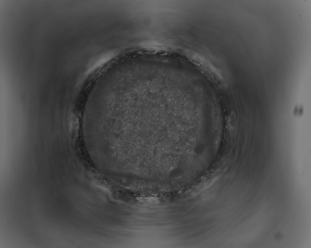 X0000102041302200808081826