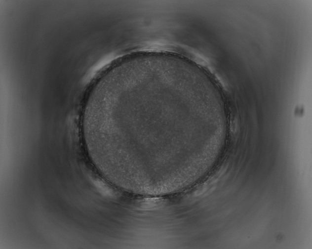 X0000102041304200808081826