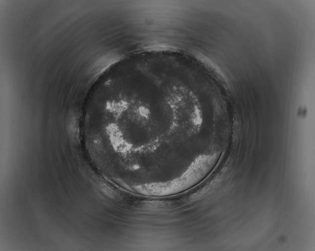 X0000102041305200808081826