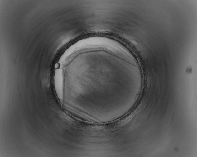 X0000102041306200808081826