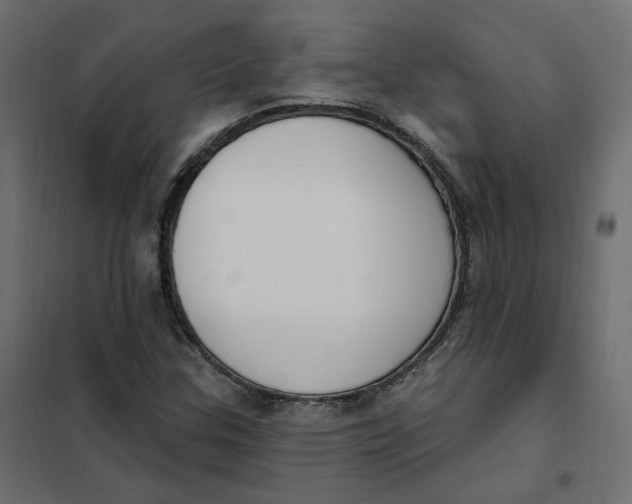 X0000102041307200808081826