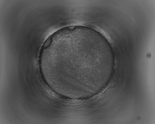 X0000102041308200808081826